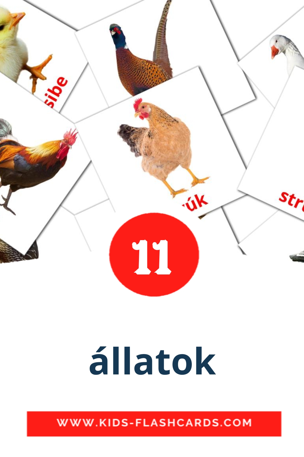 11 cartes illustrées de állatok pour la maternelle en amharique