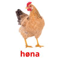 høna picture flashcards