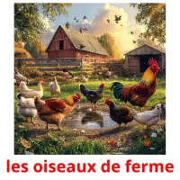 les oiseaux de ferme Tarjetas didacticas