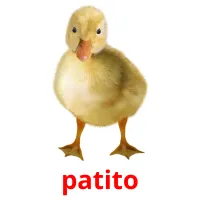 patito ansichtkaarten