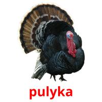 pulyka flashcards illustrate
