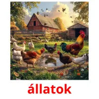 állatok flashcards illustrate