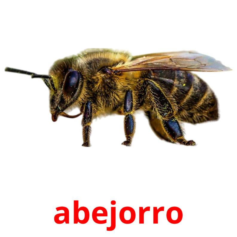 abejorro Tarjetas didacticas