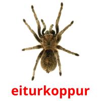 eiturkoppur карточки энциклопедических знаний