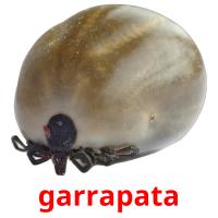 garrapata cartões com imagens