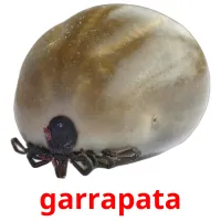garrapata ansichtkaarten