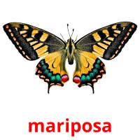 mariposa Bildkarteikarten
