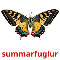 summarfuglur flashcards illustrate