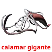 calamar gigante Bildkarteikarten