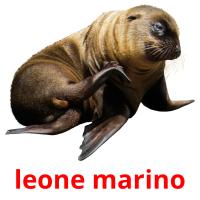 leone marino picture flashcards