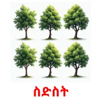 ስድስት picture flashcards