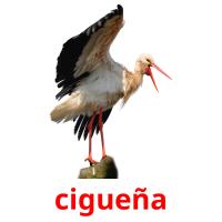 cigueña flashcards illustrate