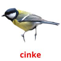 cinke picture flashcards