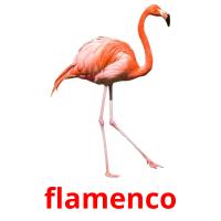 flamenco ansichtkaarten