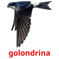 golondrina cartões com imagens