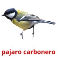 pajaro carbonero Tarjetas didacticas