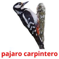 pajaro carpintero ansichtkaarten