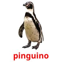 pinguino picture flashcards