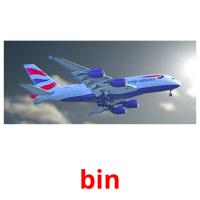 bin picture flashcards