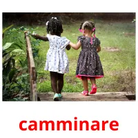 camminare picture flashcards