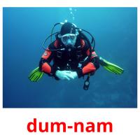dum-nam карточки энциклопедических знаний