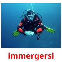 immergersi picture flashcards