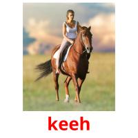 keeh picture flashcards