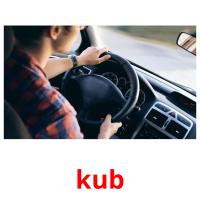 kub picture flashcards