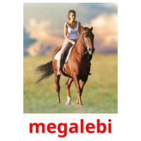 megalebi picture flashcards