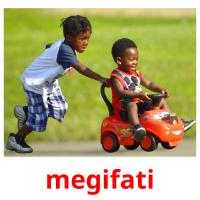 megifati picture flashcards