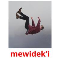 mewidek’i picture flashcards
