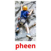pheen picture flashcards