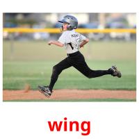 wing flashcards illustrate