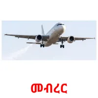 መብረር picture flashcards