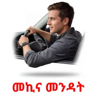 መኪና መንዳት picture flashcards