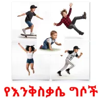 የእንቅስቃሴ ግሶች picture flashcards