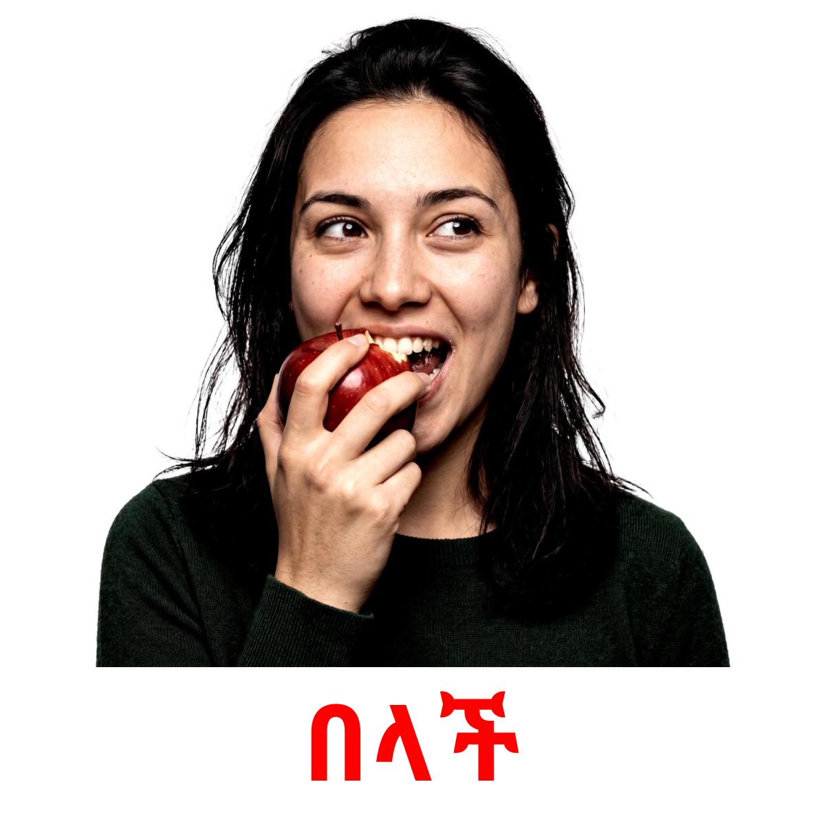 Am Using Flacard 33 FREE Routine verbs Flashcards | PDF | Amharic Words