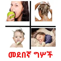 መደበኛ ግሦች Bildkarteikarten