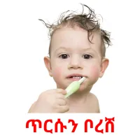 ጥርሱን ቦረሸ Bildkarteikarten