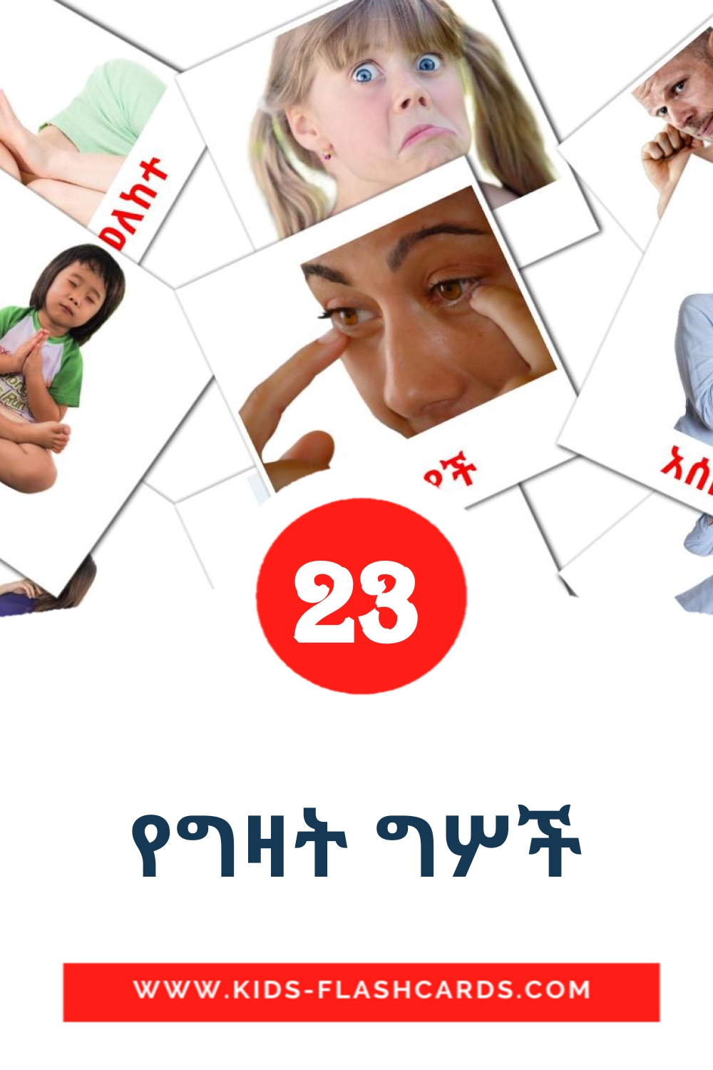 23 tarjetas didacticas de የግዛት ግሦች para el jardín de infancia en amhárico