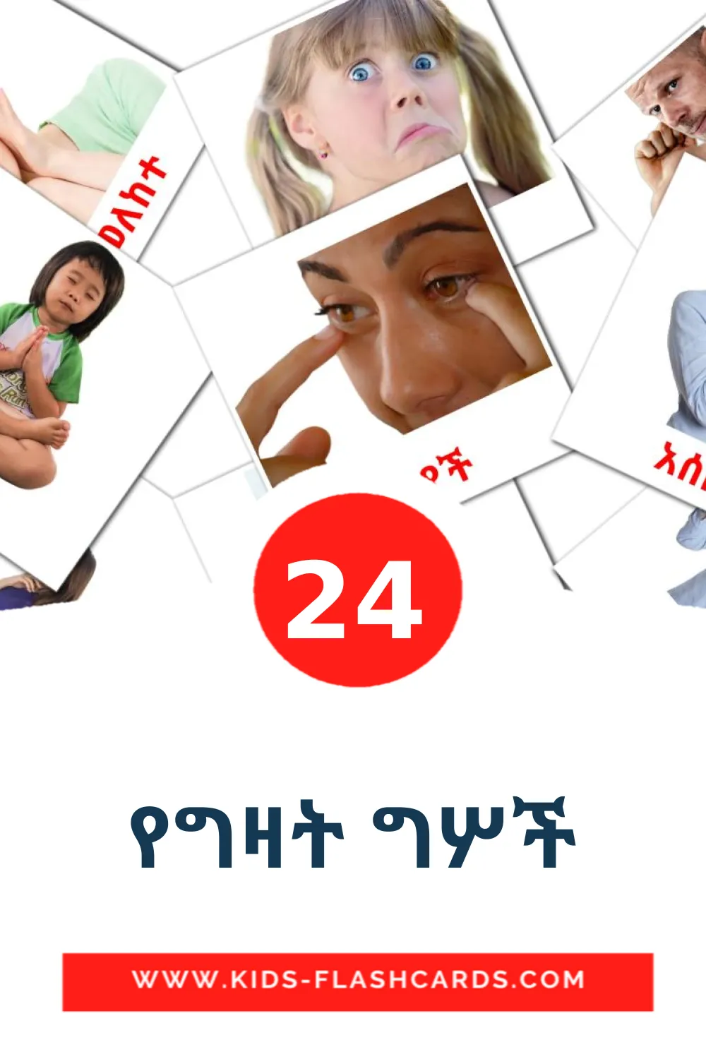 የግዛት ግሦች на амхарском для Детского Сада (24 карточки)