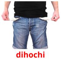 dihochi flashcards illustrate