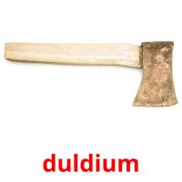 duldium flashcards illustrate