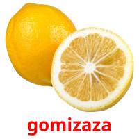 gomizaza picture flashcards