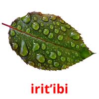 irit’ibi picture flashcards