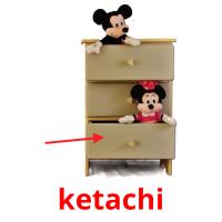 ketachi picture flashcards