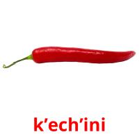 k’ech’ini picture flashcards