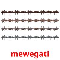 mewegati picture flashcards