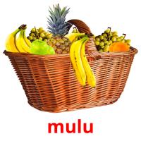 mulu picture flashcards