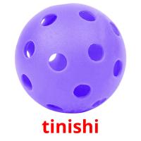 tinishi picture flashcards